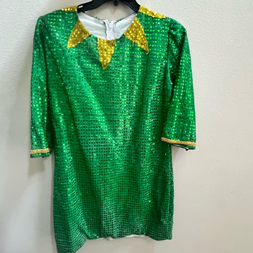 Mardi Gras Costume